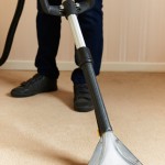 Professionally Cleaning Carpets