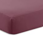 plum-deep-fitted-sheet-percale1.jpg